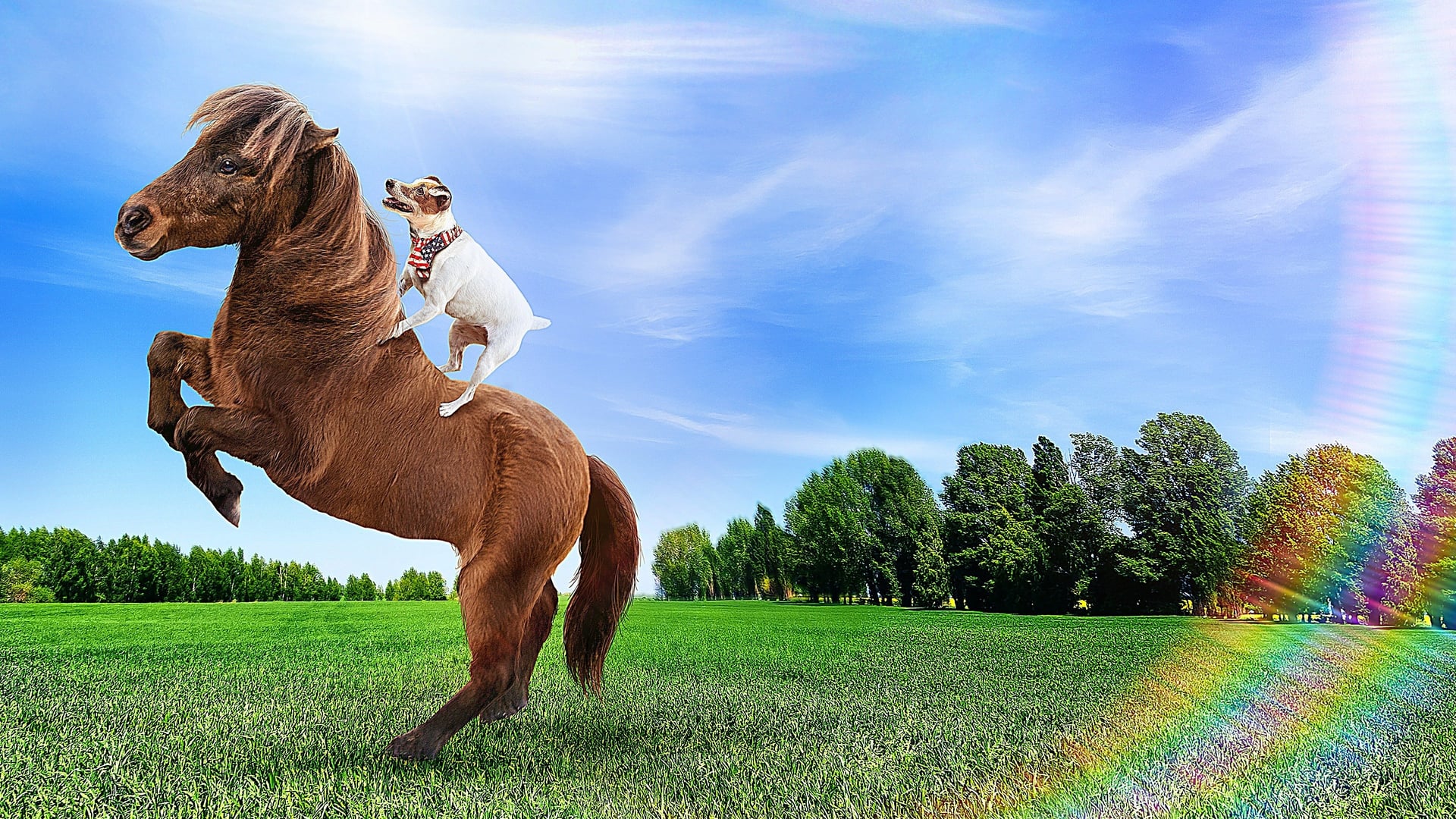 Foto do filme Dally e Spanky: Uma Amizade Improvável