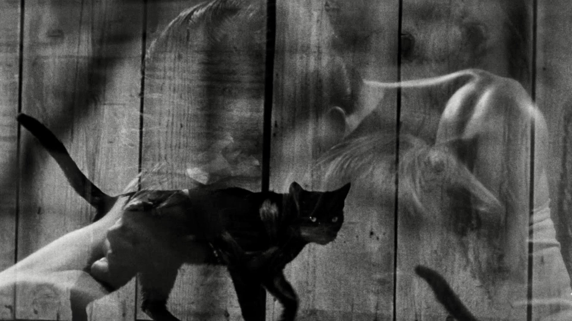 Foto do filme Pelos Bairros do Vício