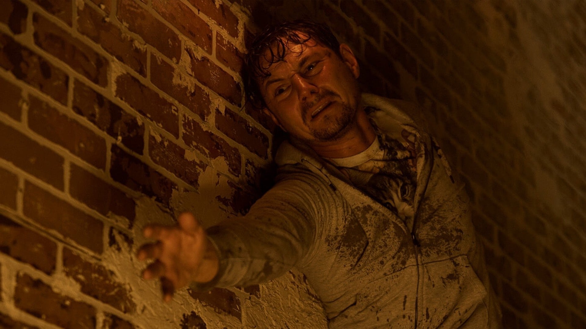 Foto do filme Querido David