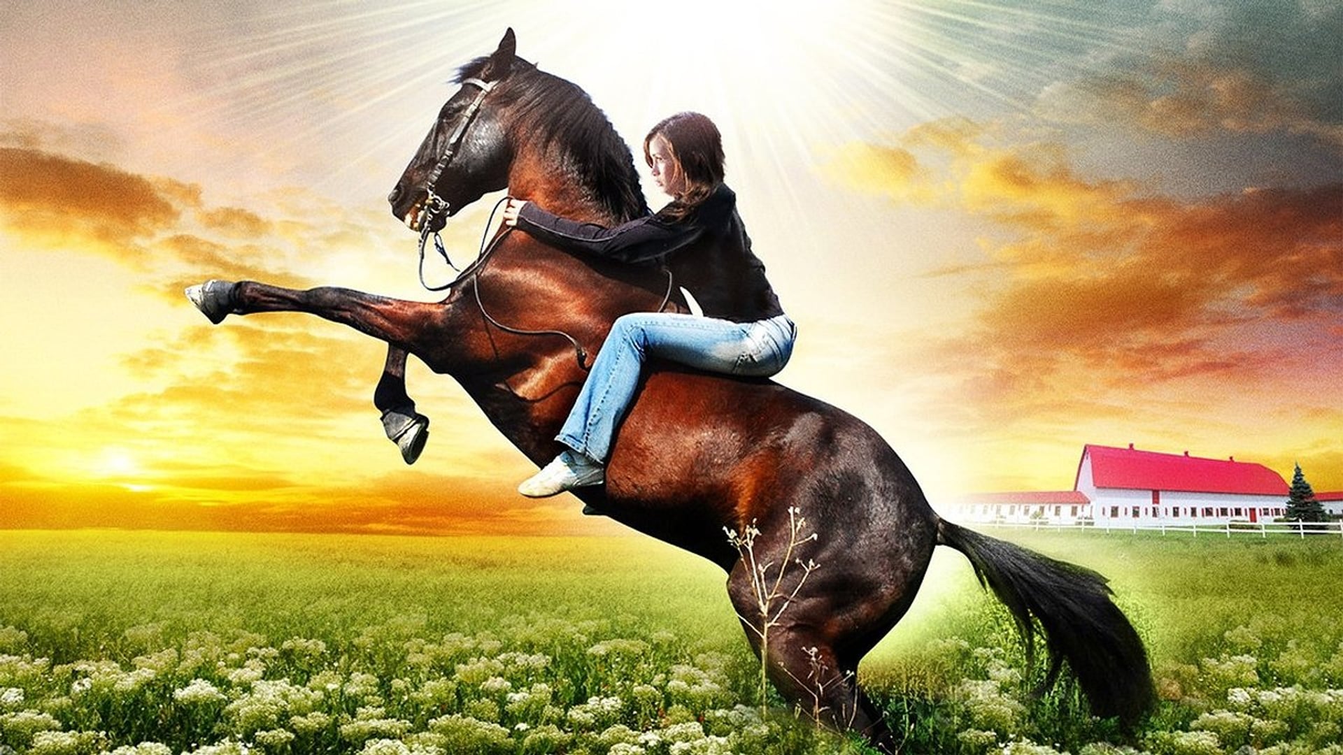 Foto do filme Encontro no Dia dos Namorados