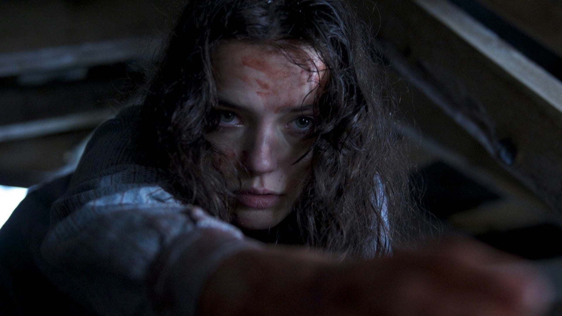 Foto do filme Sennentuntschi