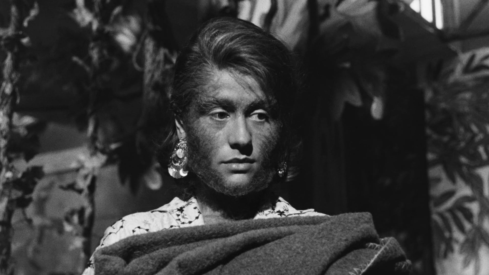 Foto do filme La donna scimmia