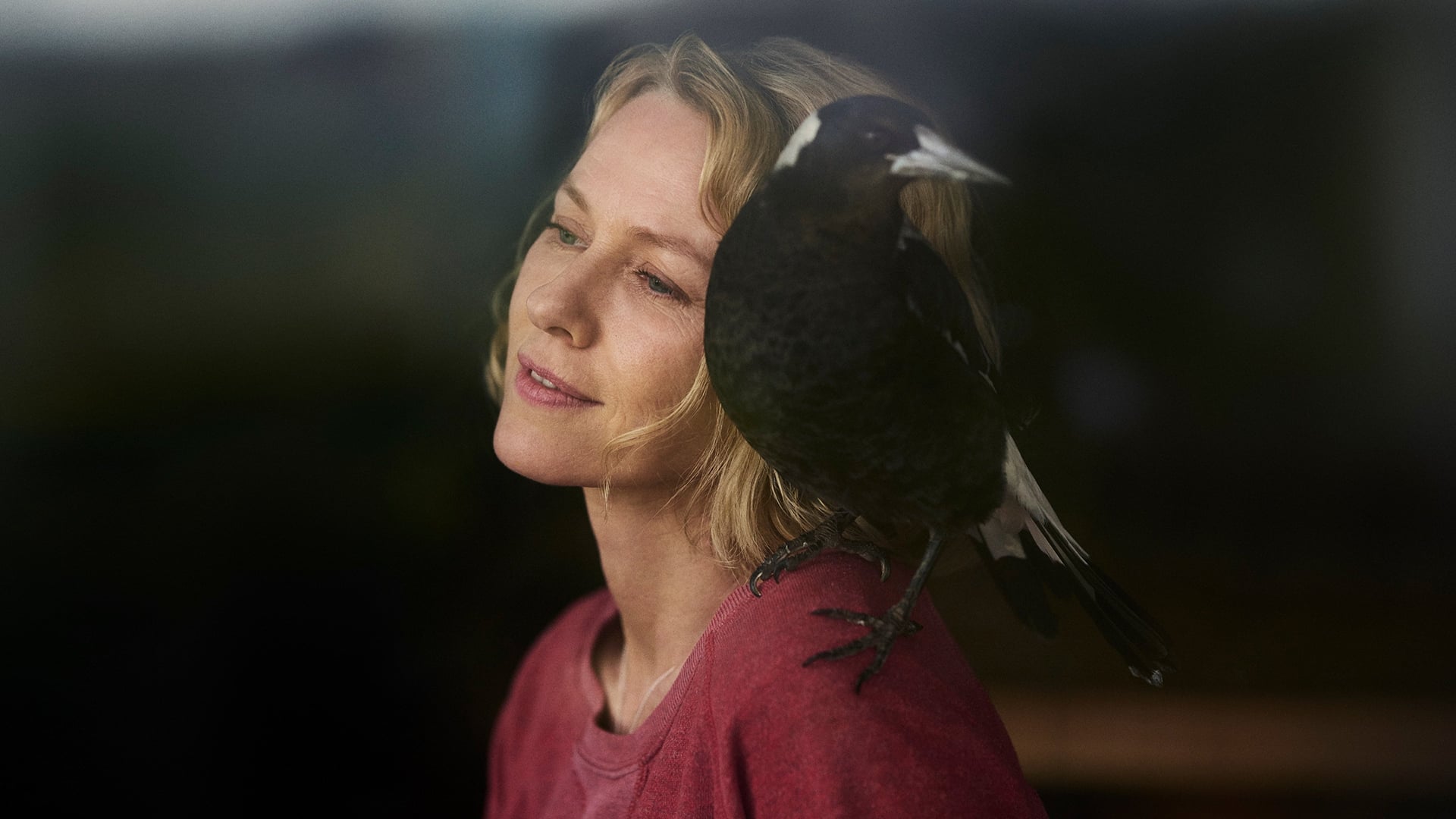 Foto do filme Um Milagre Inesperado