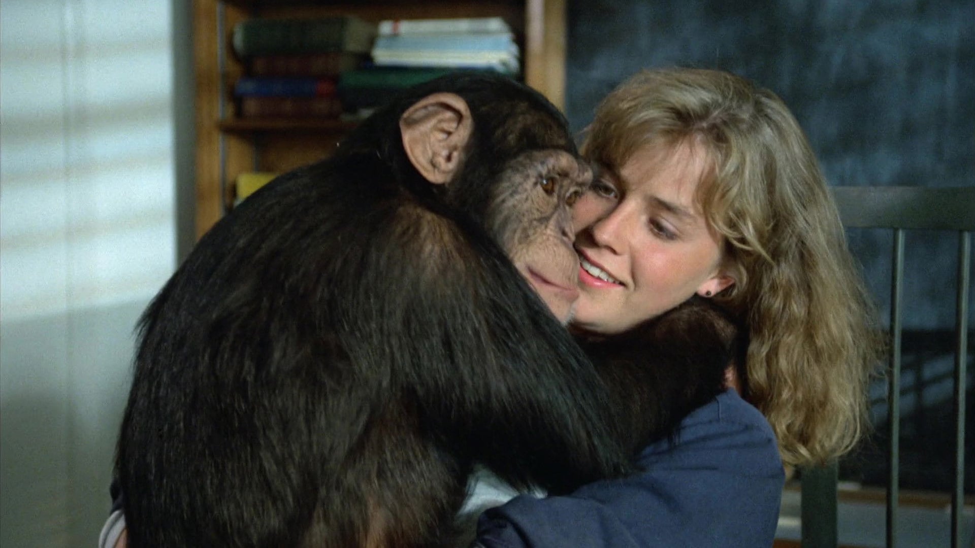 Foto do filme Link - O Animal Assassino