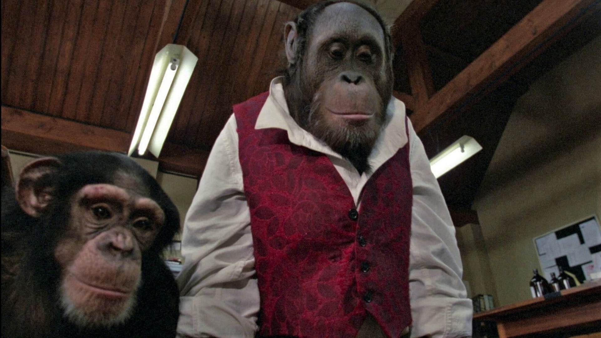 Foto do filme Link - O Animal Assassino