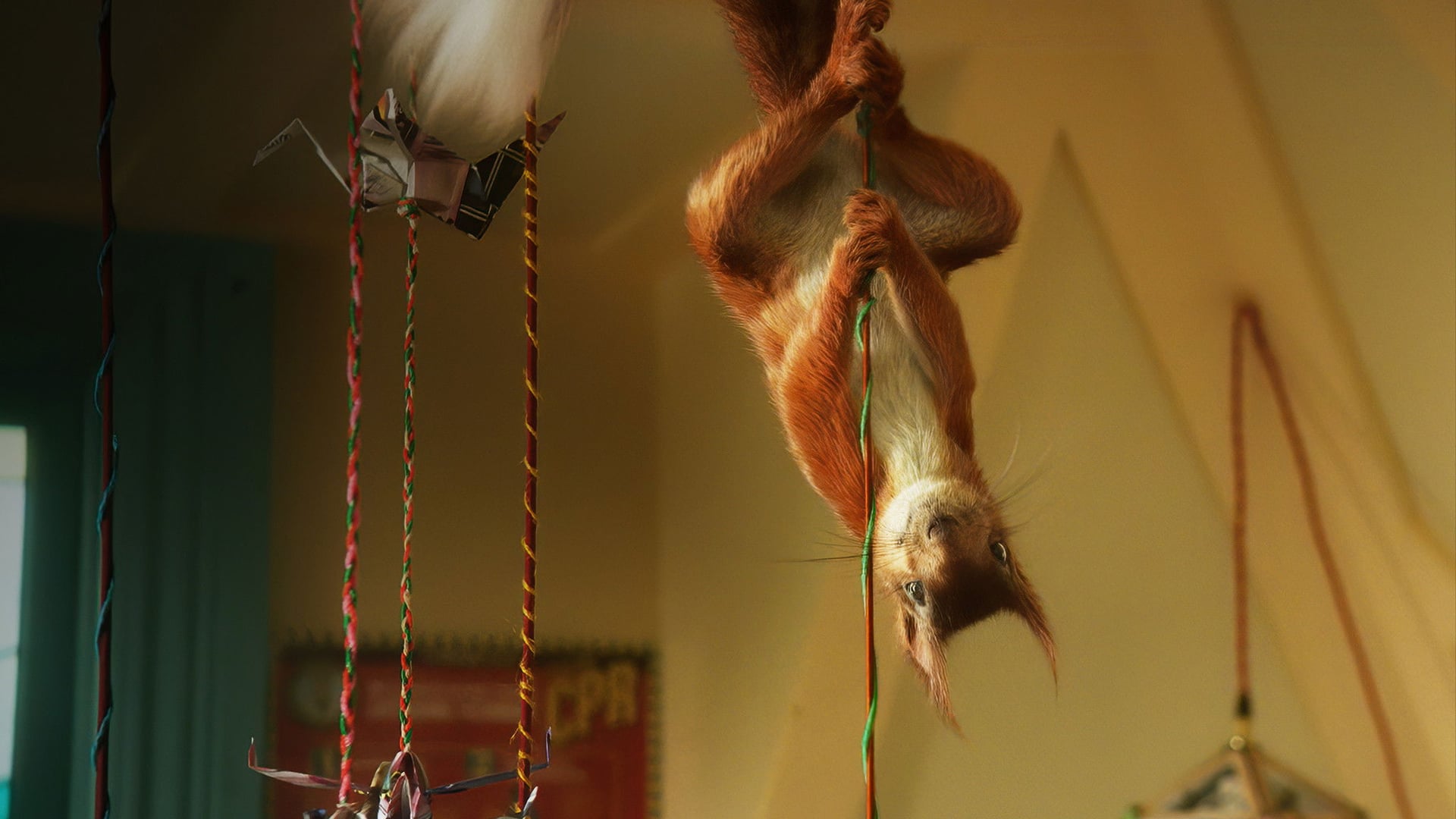 Foto do filme Flora e Ulysses