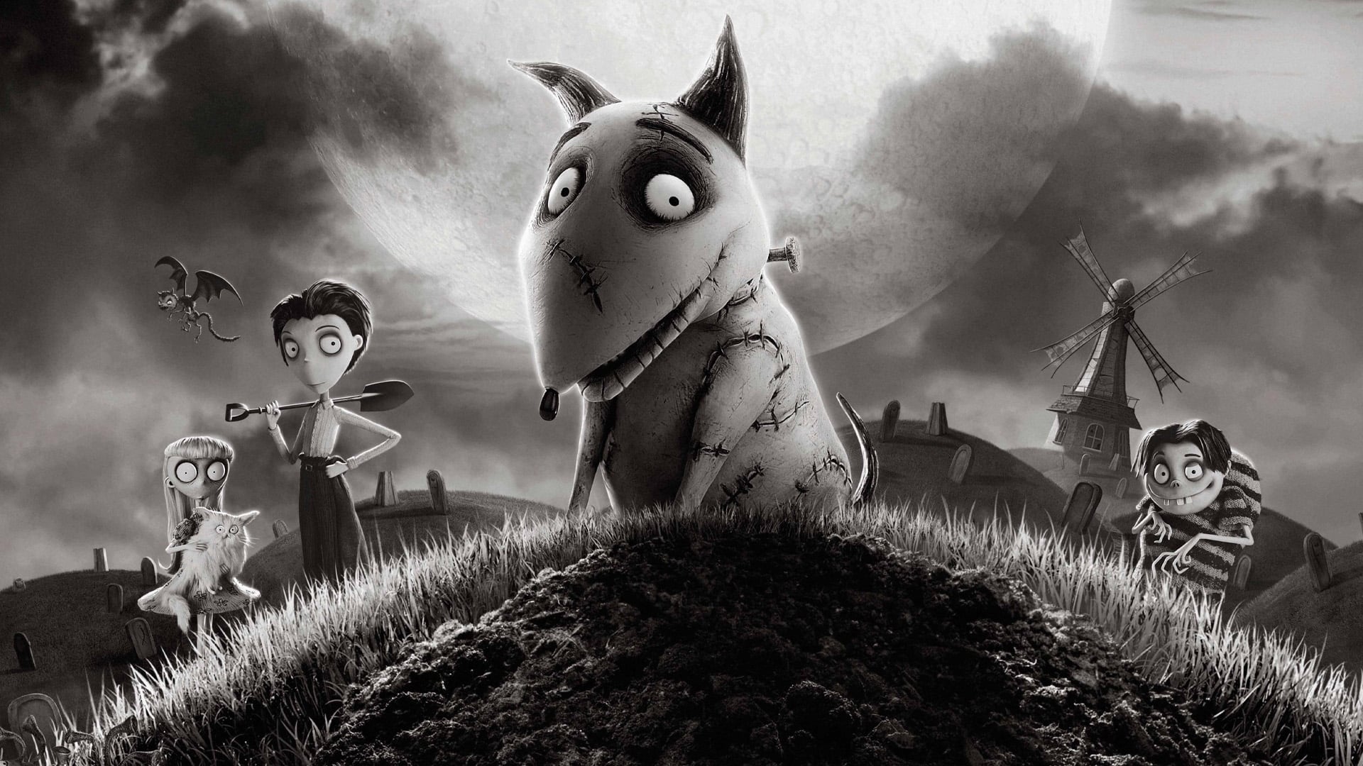 Foto do filme Frankenweenie