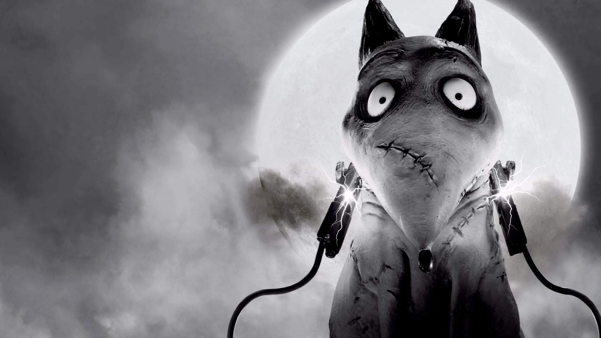Foto do filme Frankenweenie