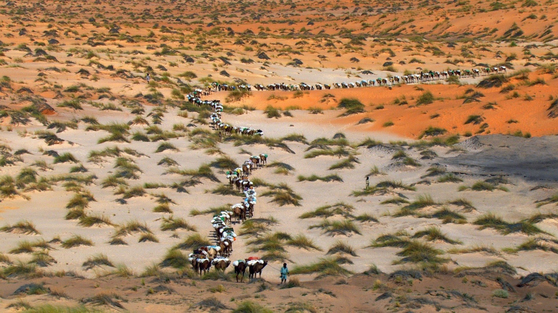 Foto do filme Home - Nosso Planeta, Nossa Casa