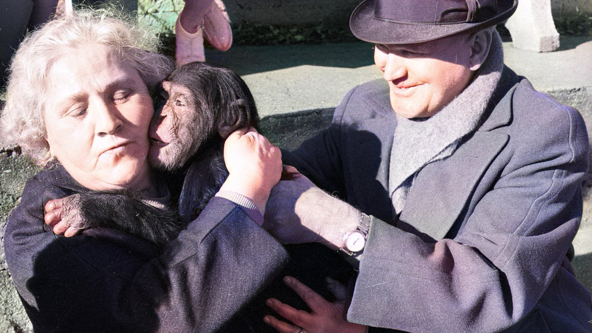 Foto do filme Terra do Silêncio e da Escuridão