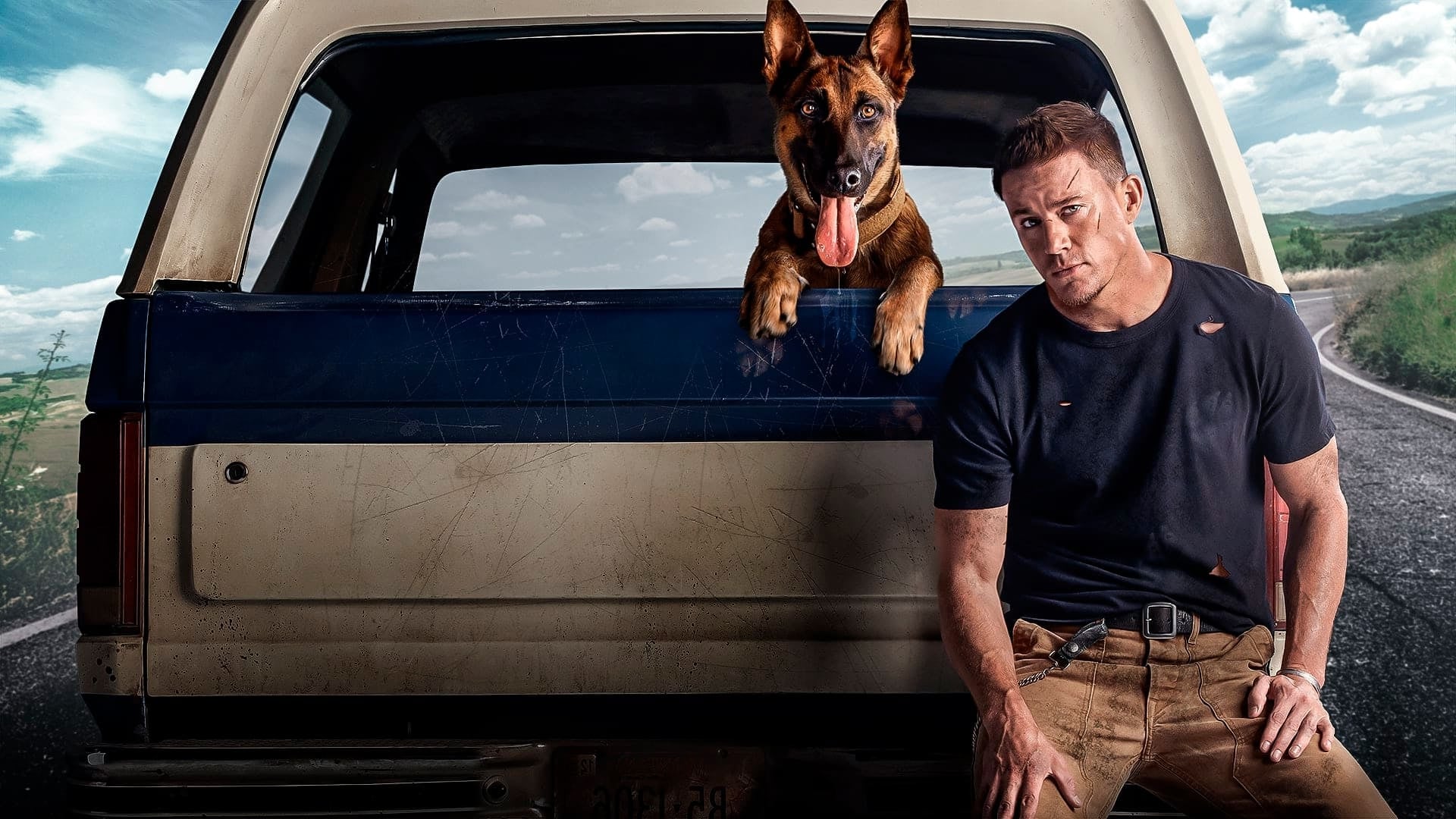 Foto do filme Dog - A Aventura de Uma Vida