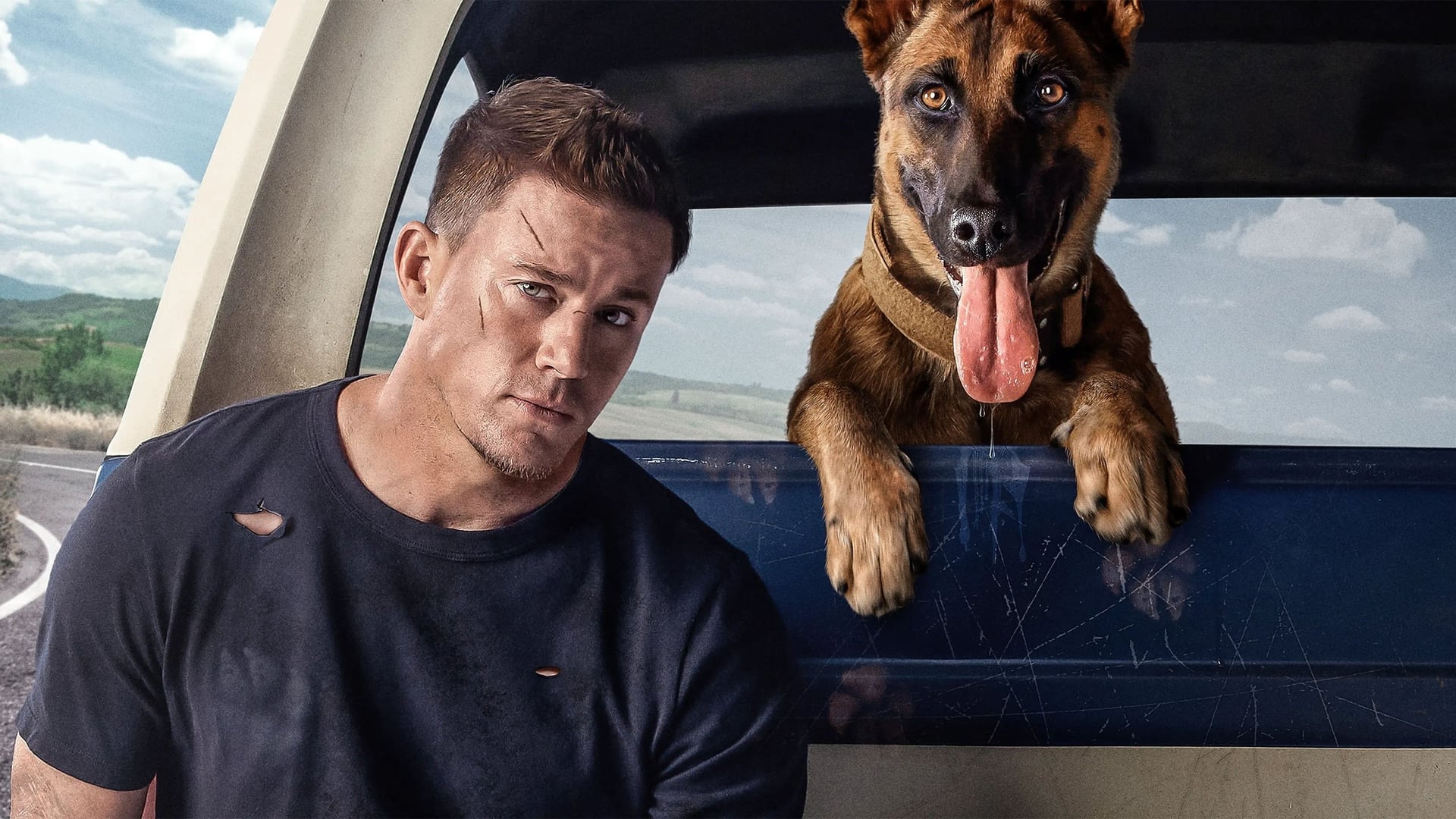 Foto do filme Dog - A Aventura de Uma Vida