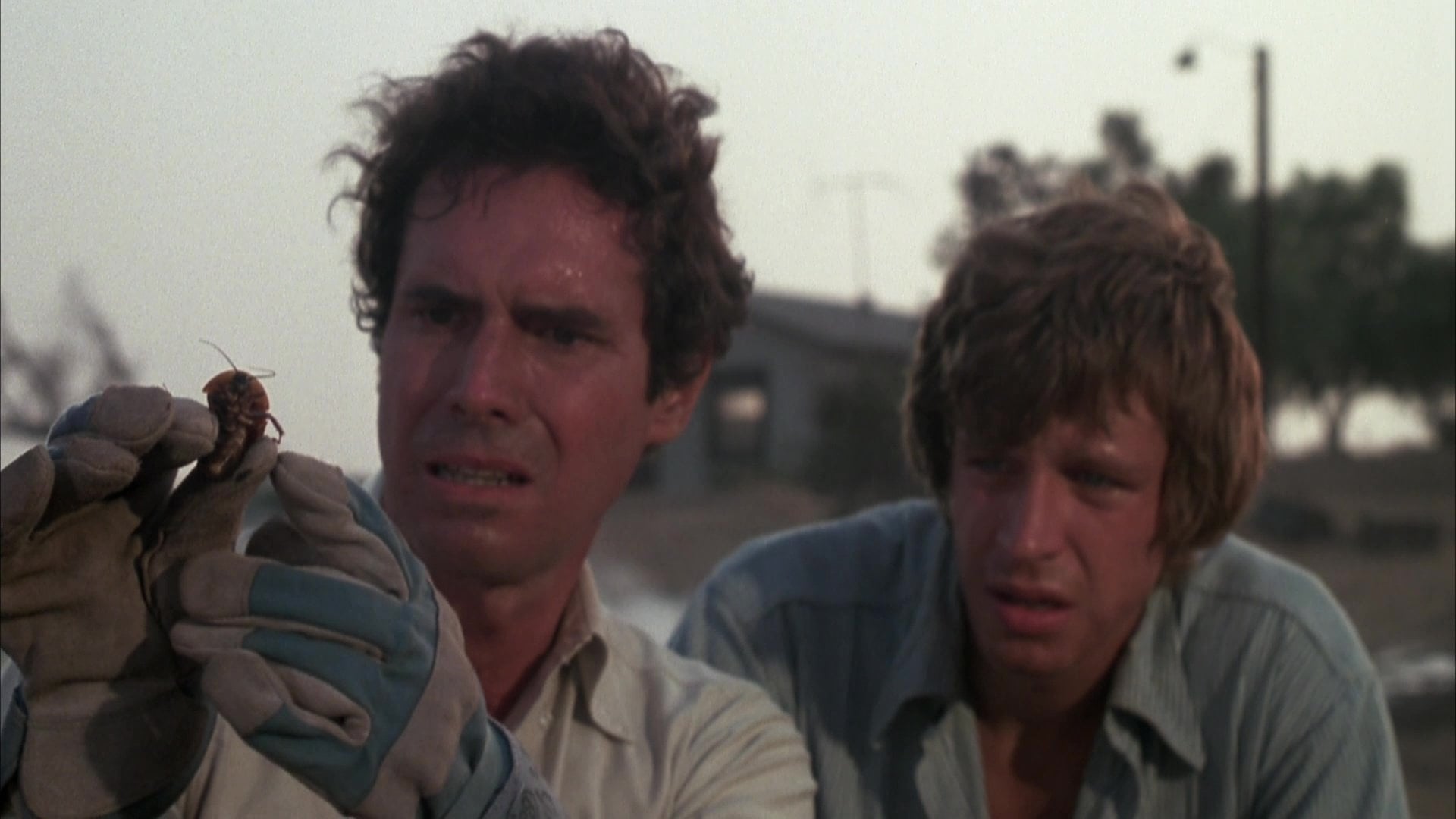 Foto do filme Praga Infernal