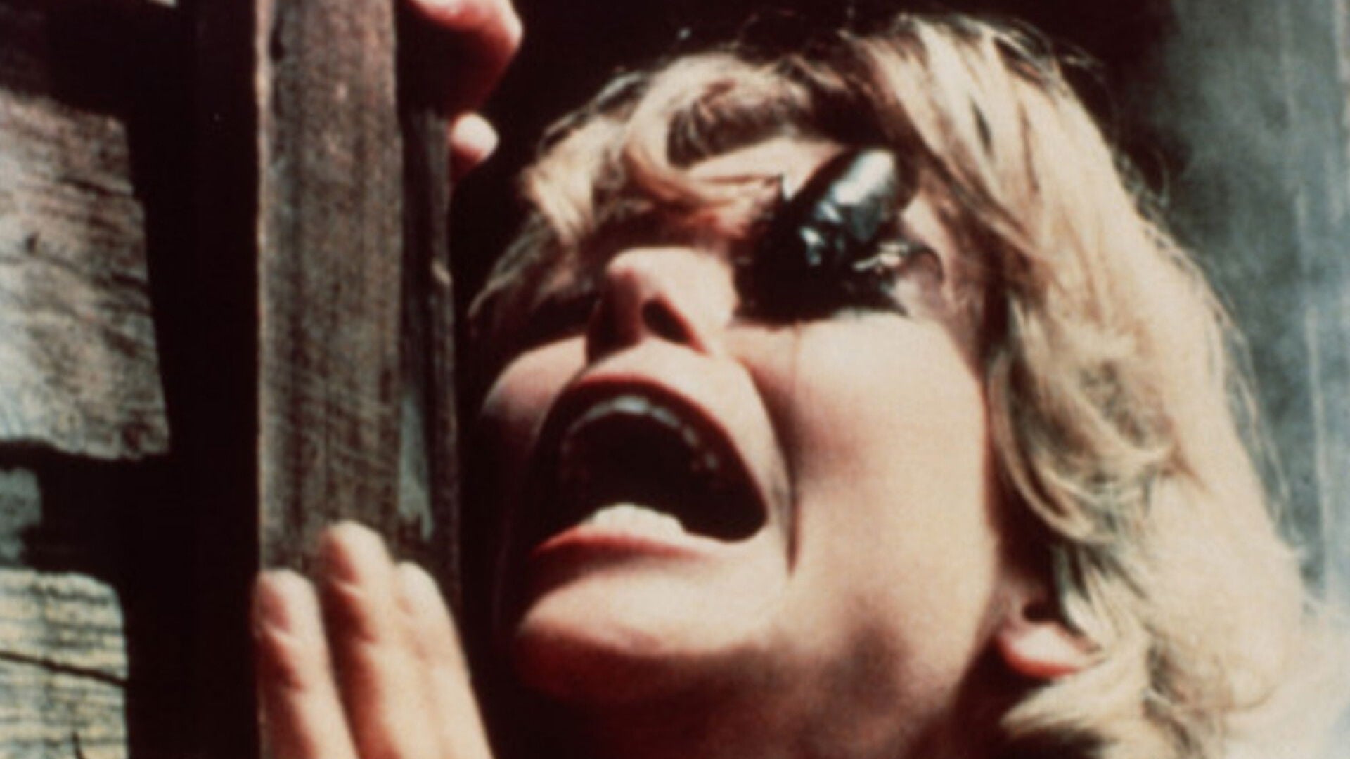 Foto do filme Praga Infernal