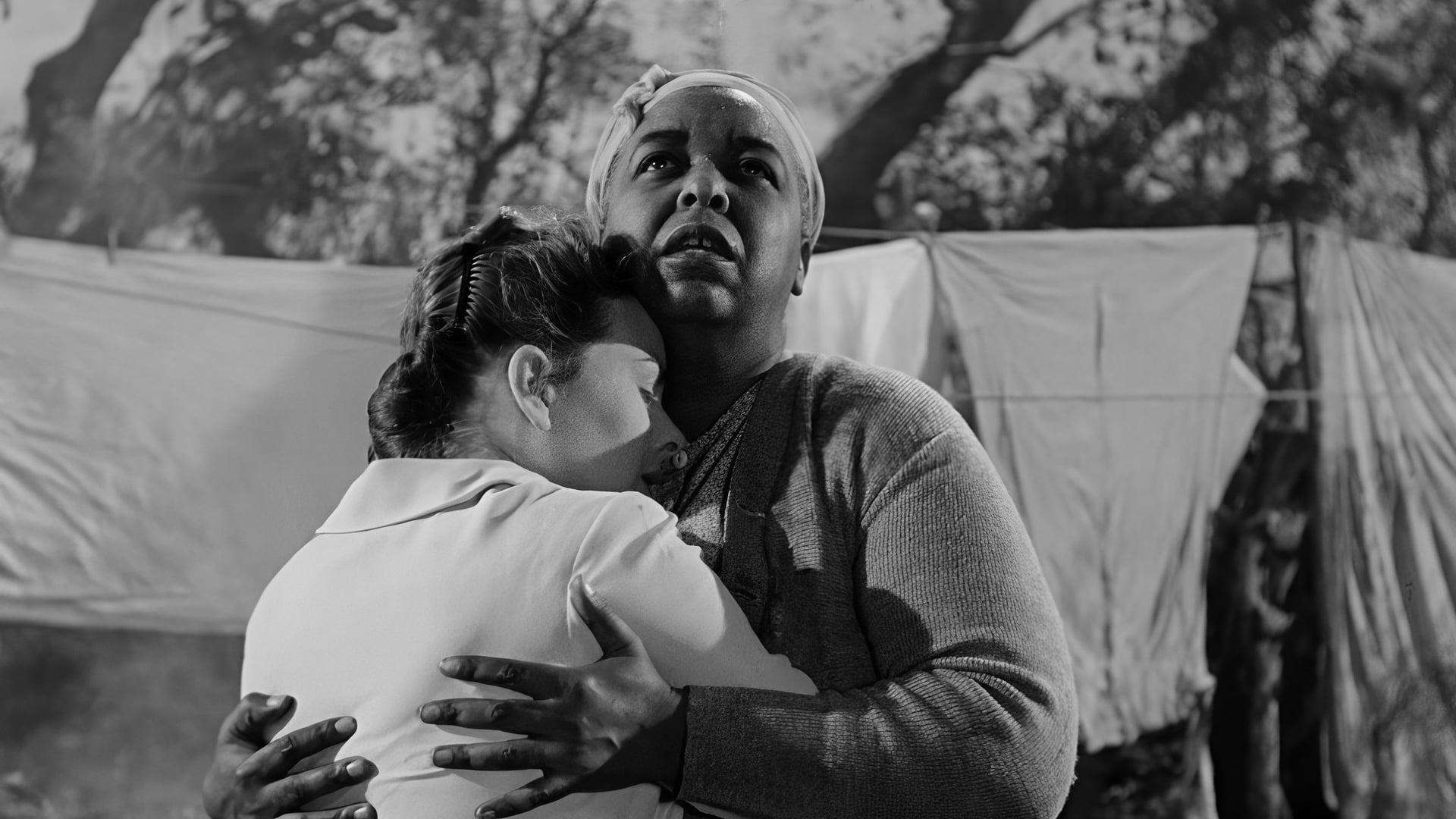 Foto do filme O Que a Carne Herda