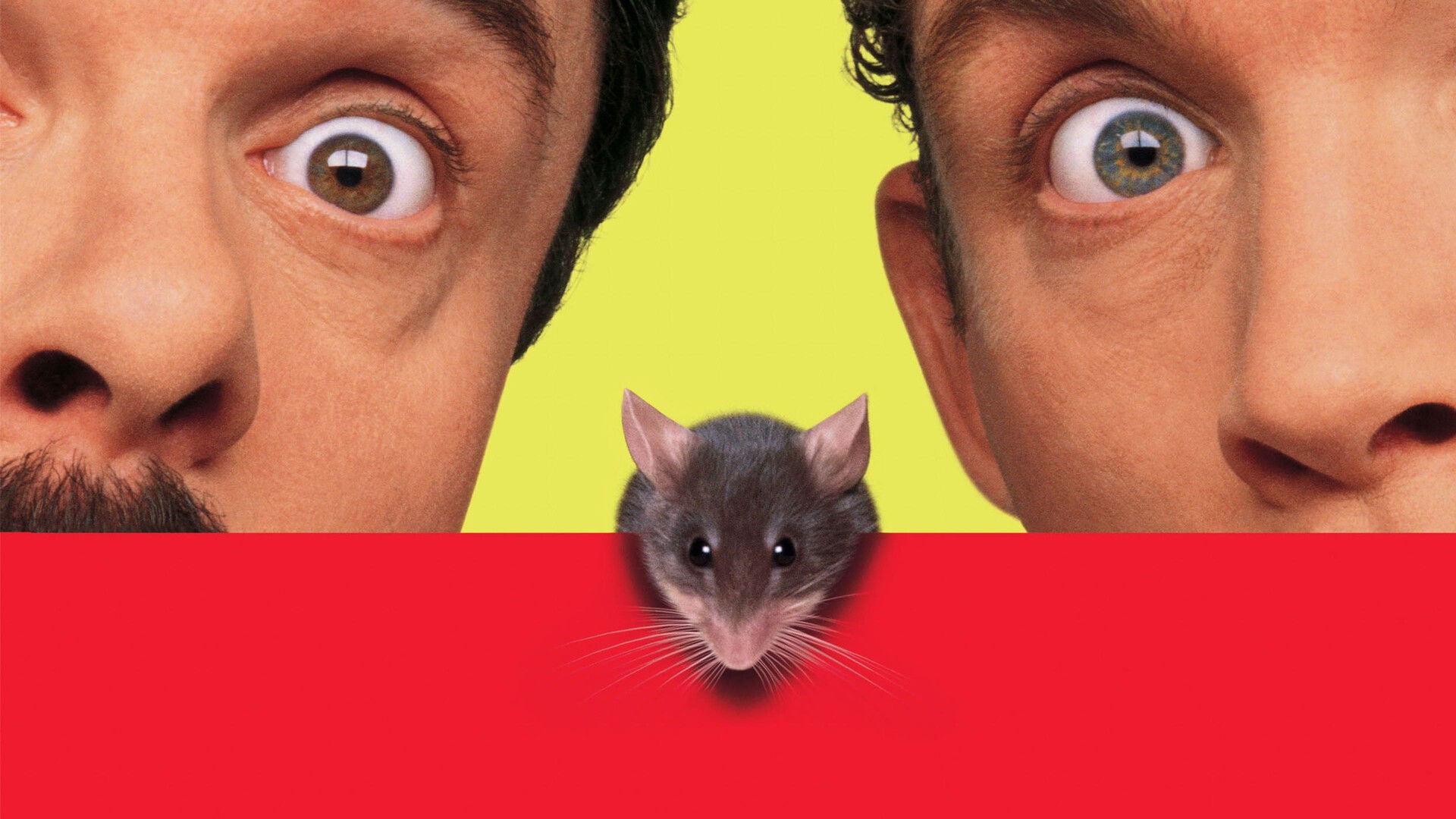 Foto do filme Um Ratinho Encrenqueiro