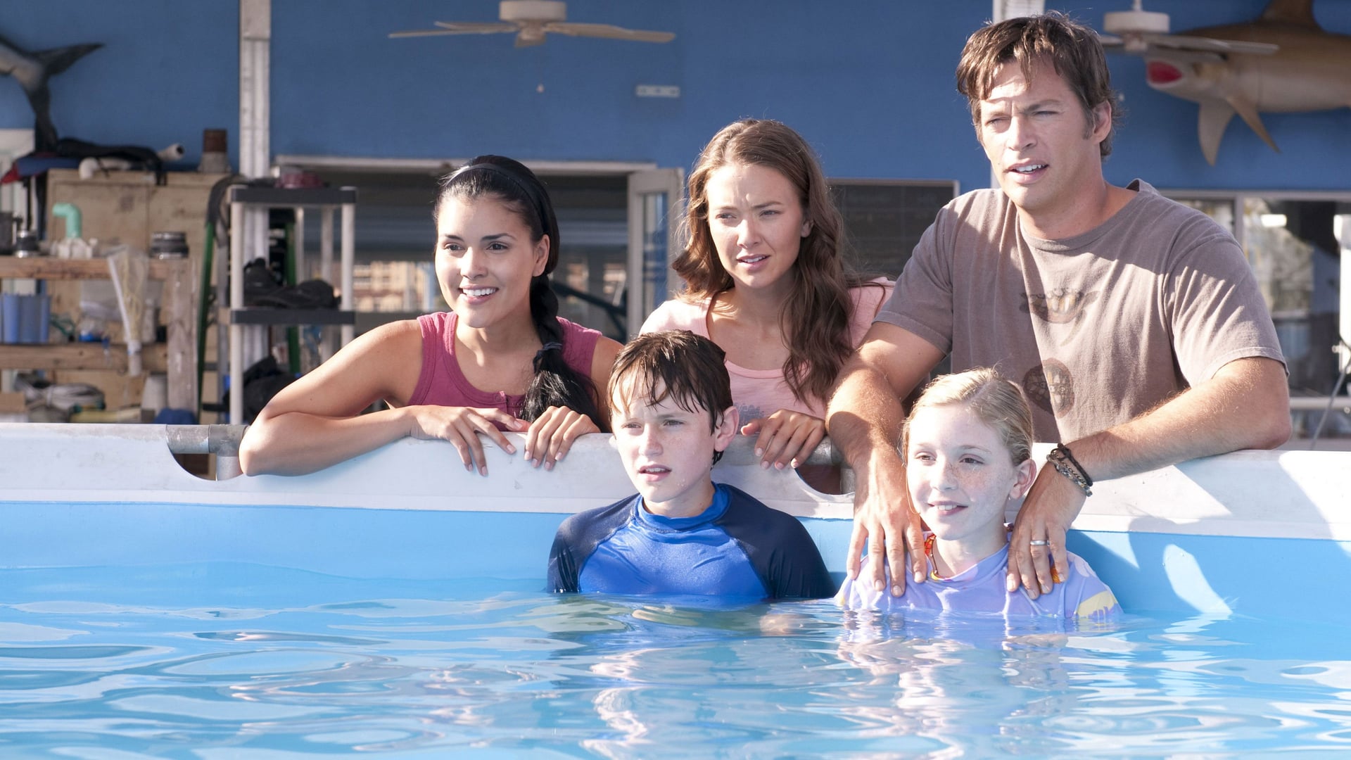 Foto do filme Winter, o Golfinho