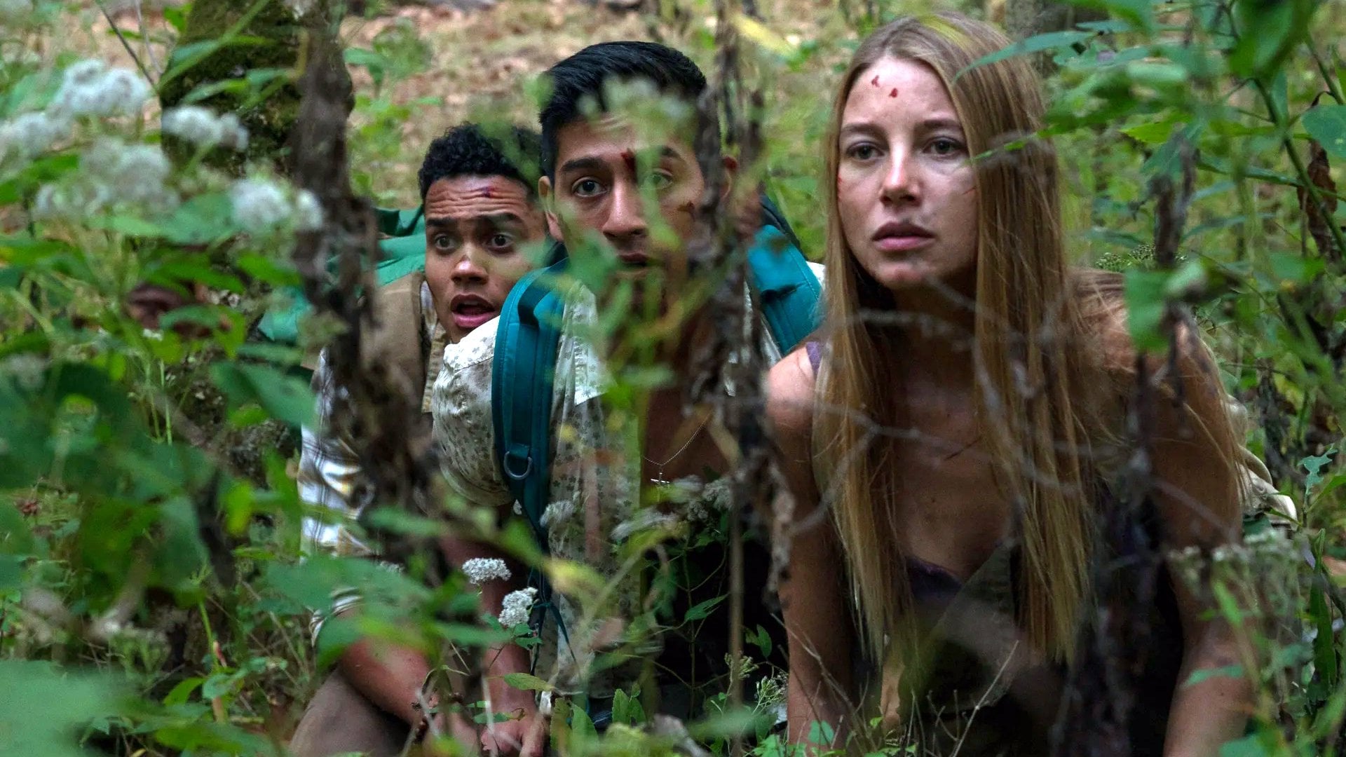 Foto do filme Pânico na Floresta: A Fundação