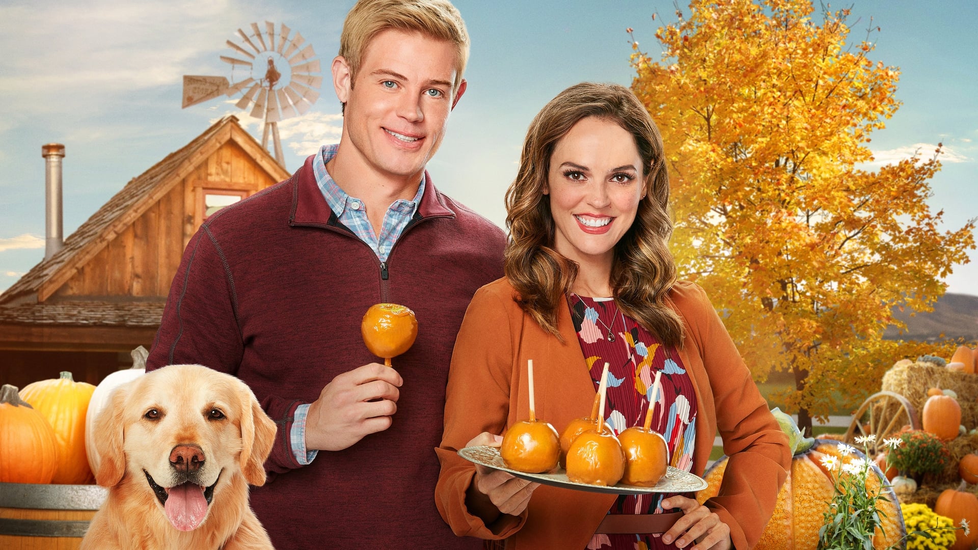 Foto do filme Outono: Love, Fall & Order