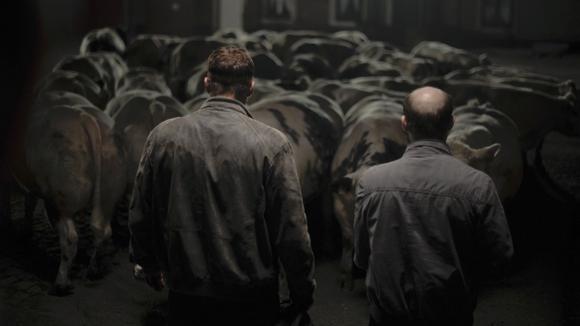 Foto do filme Rundskop