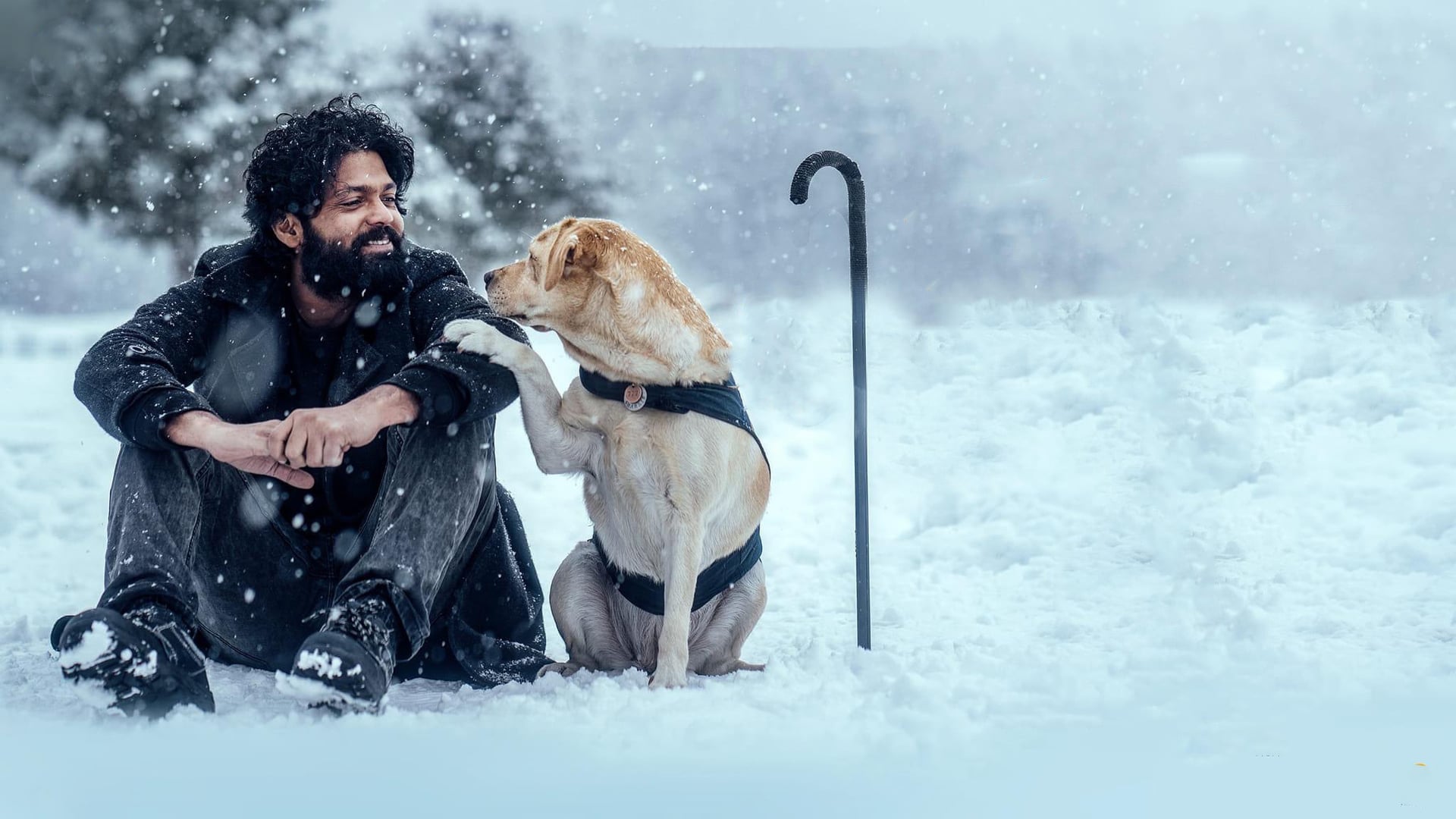 Foto do filme Charlie: Um Cachorro Especial