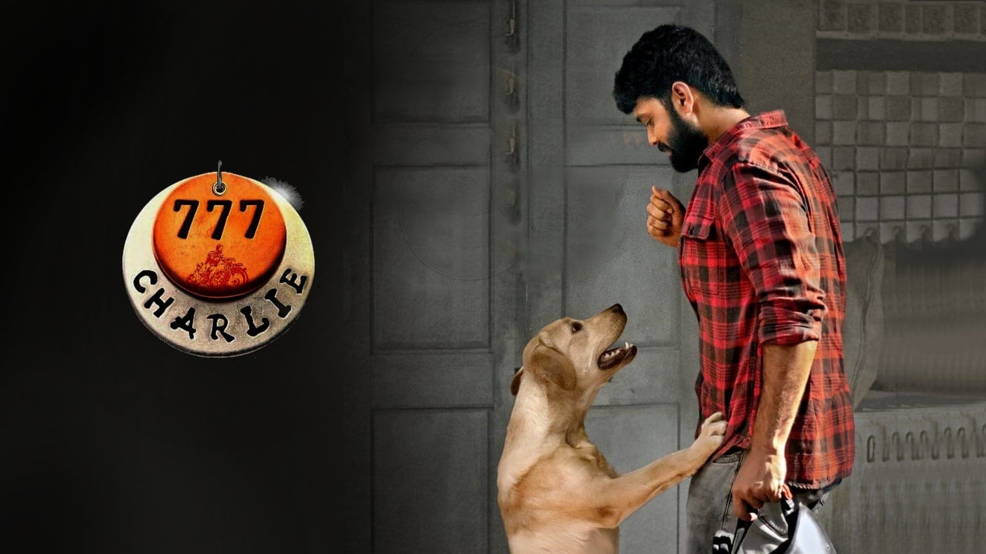 Foto do filme Charlie: Um Cachorro Especial