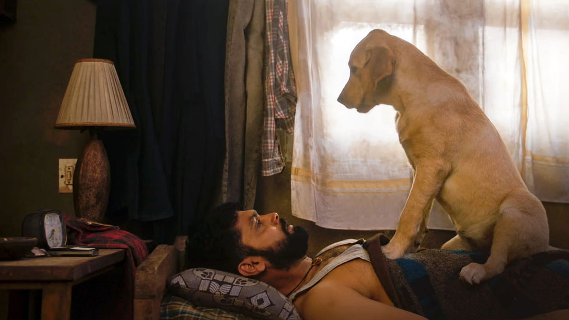 Foto do filme Charlie: Um Cachorro Especial