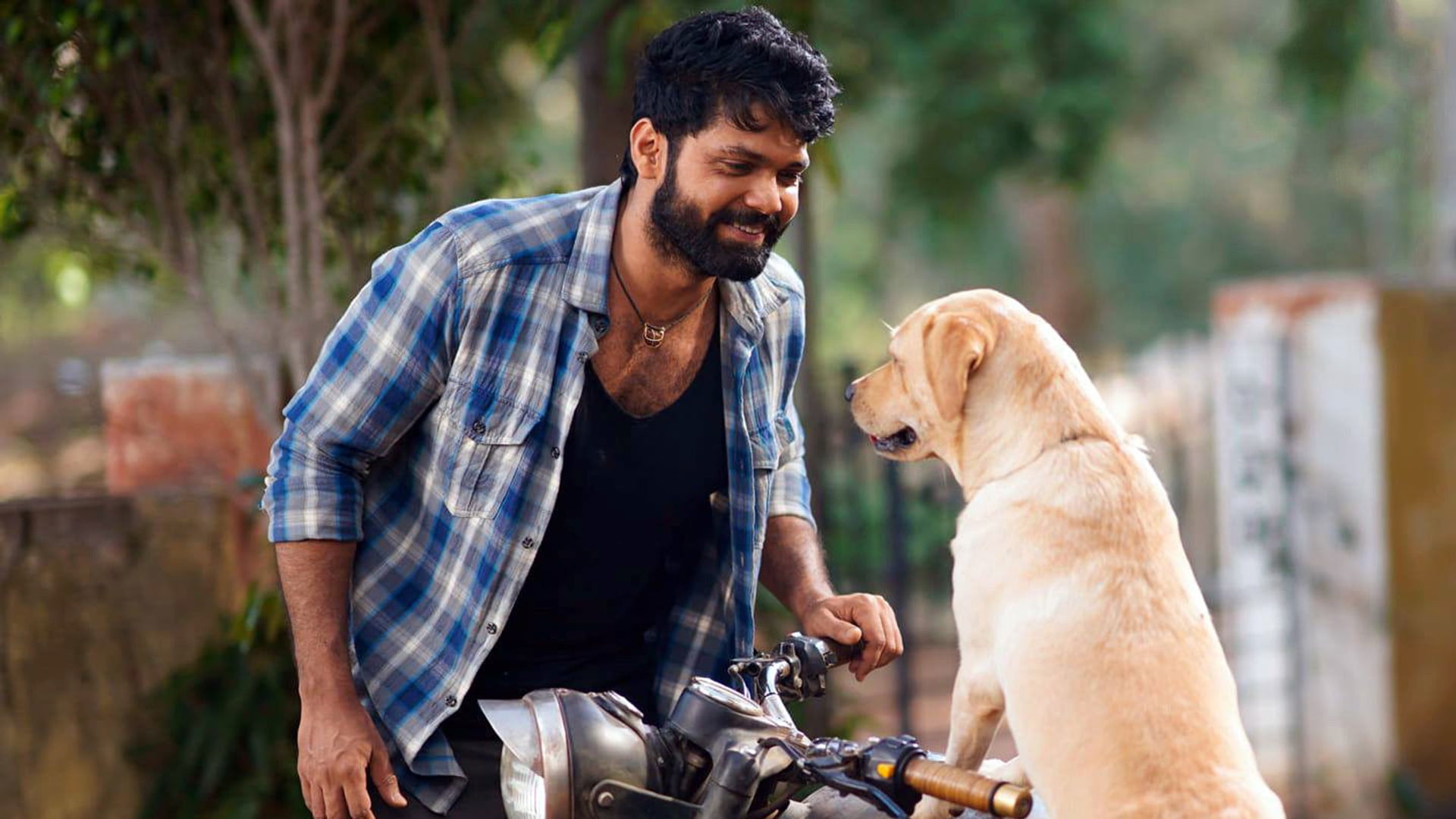 Foto do filme Charlie: Um Cachorro Especial