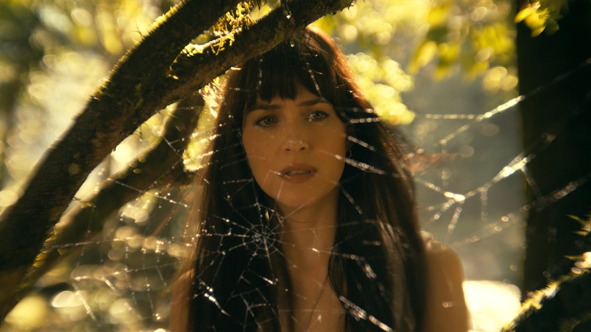 Foto do filme Madame Teia