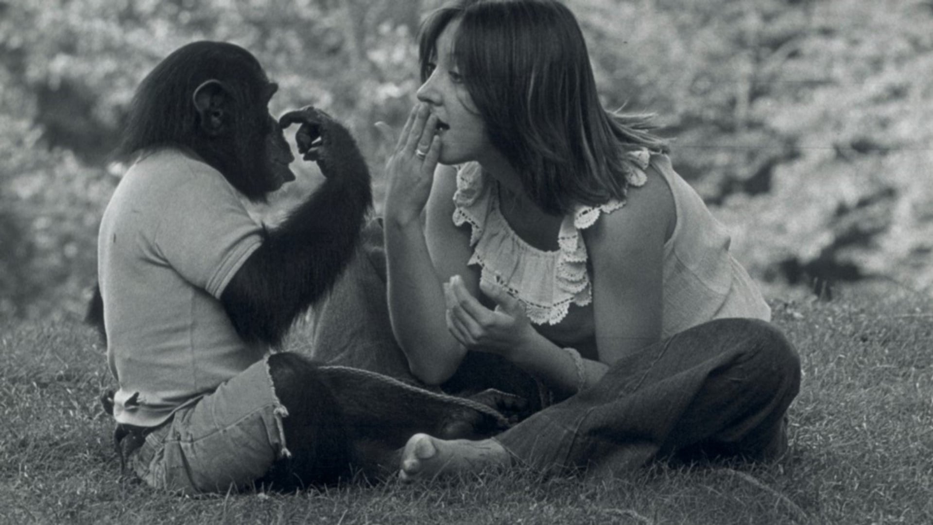 Foto do filme Project Nim