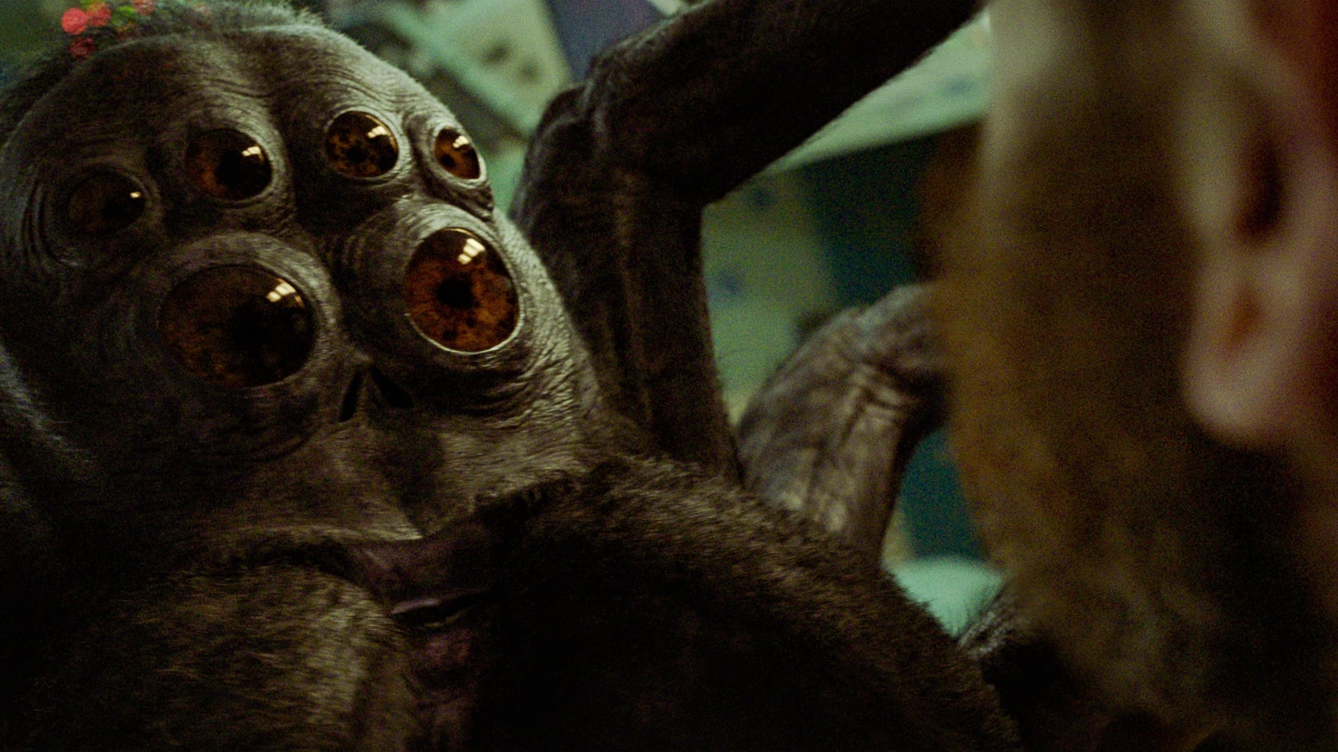 Foto do filme O Astronauta