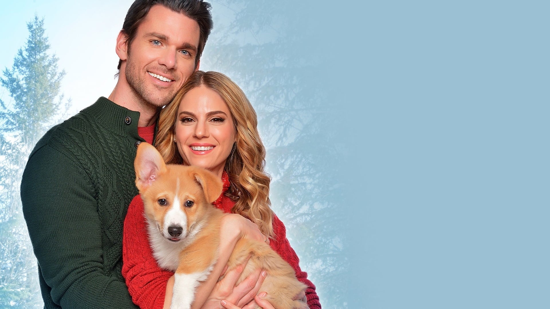 Foto do filme A Very Corgi Christmas