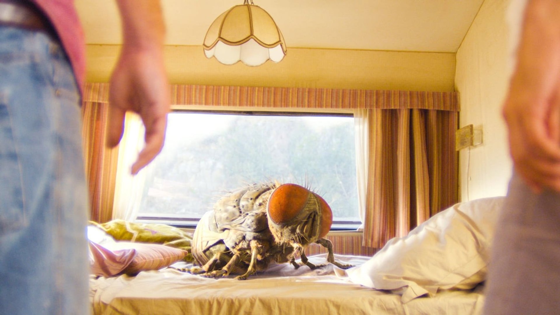 Foto do filme Mandibules