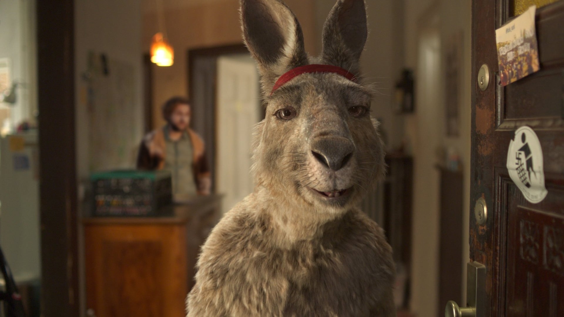 Foto do filme Die Känguru-Chroniken