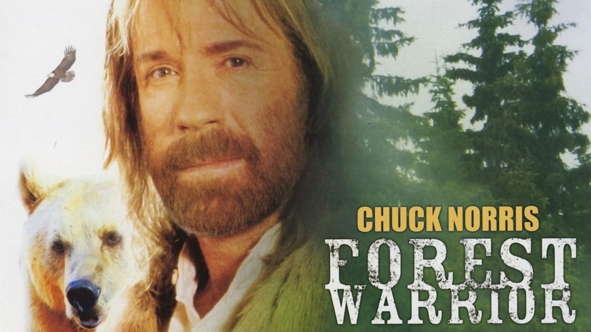 Foto do filme O Defensor