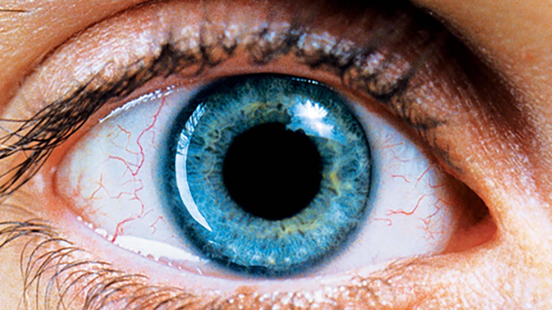 Foto do filme Réquiem para um Sonho