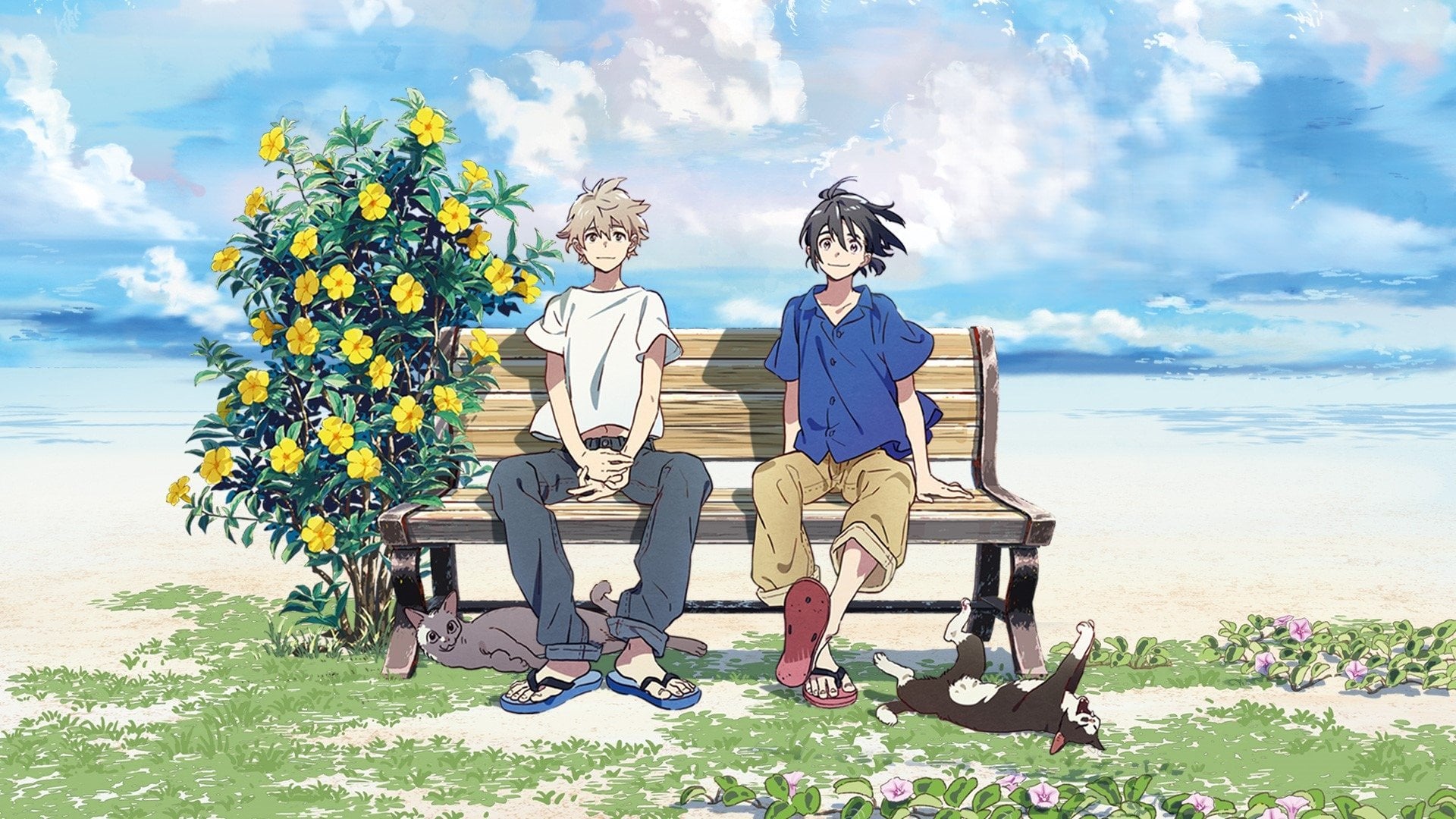 Foto do filme The Stranger by the Shore