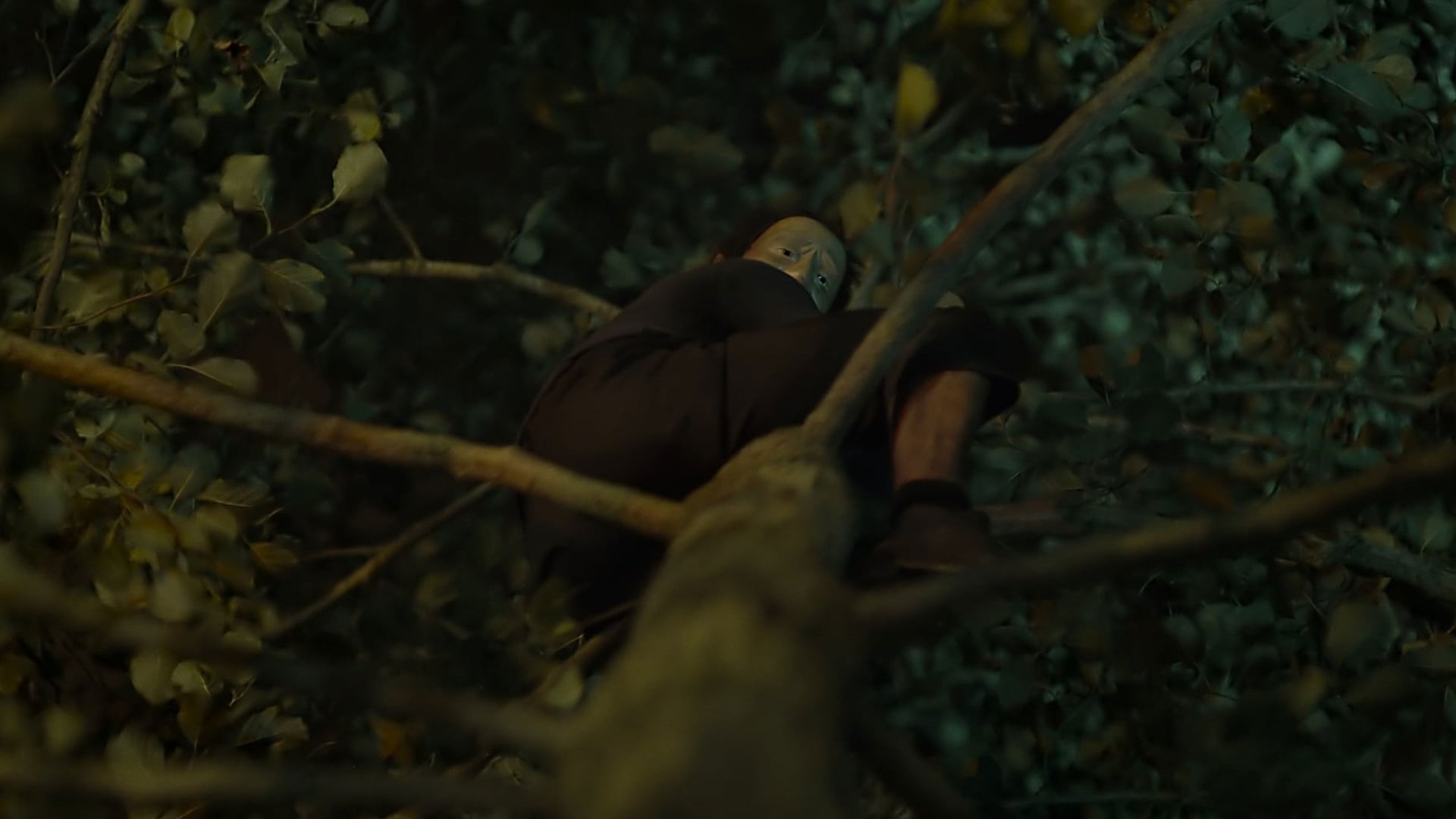 Foto do filme The Fall