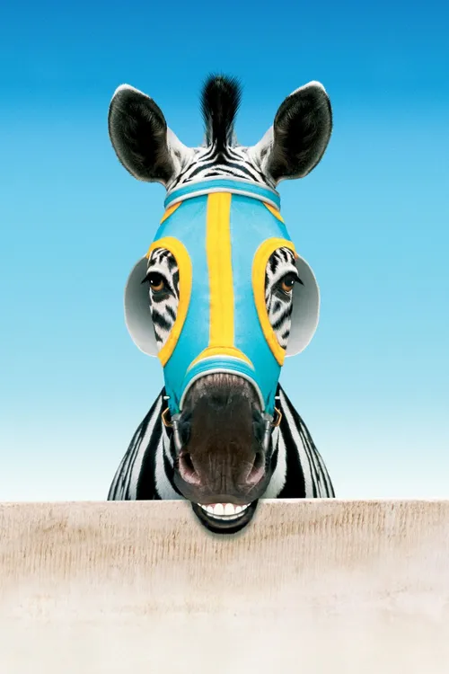 Deu Zebra!