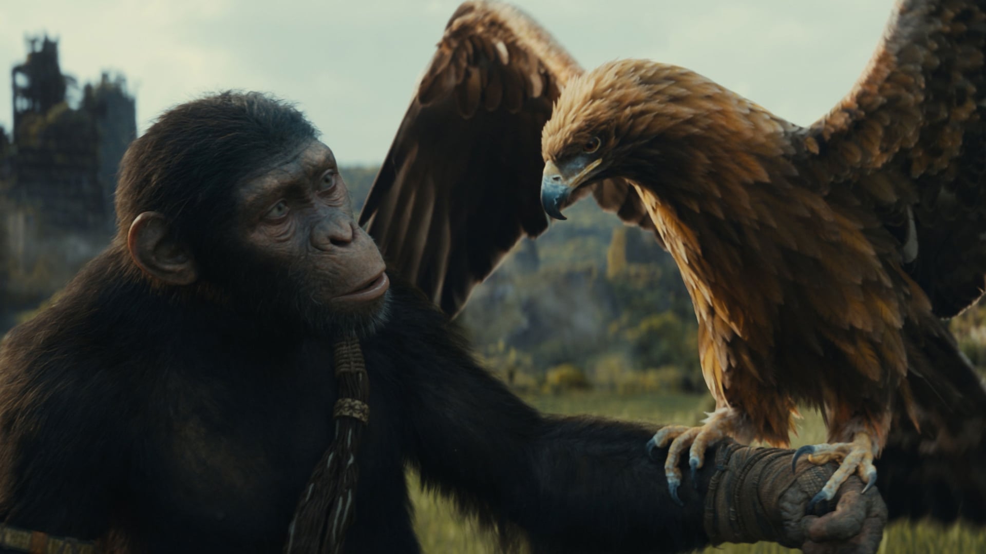 Foto do filme Planeta dos Macacos: O Reinado