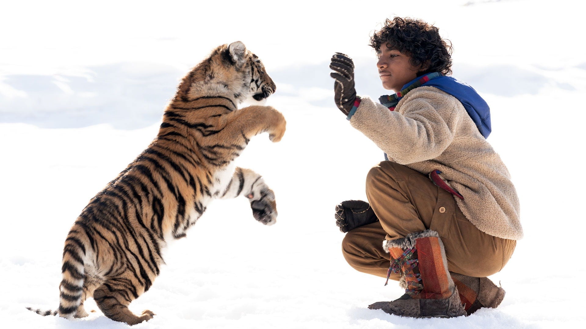 Foto do filme O Menino e o Tigre