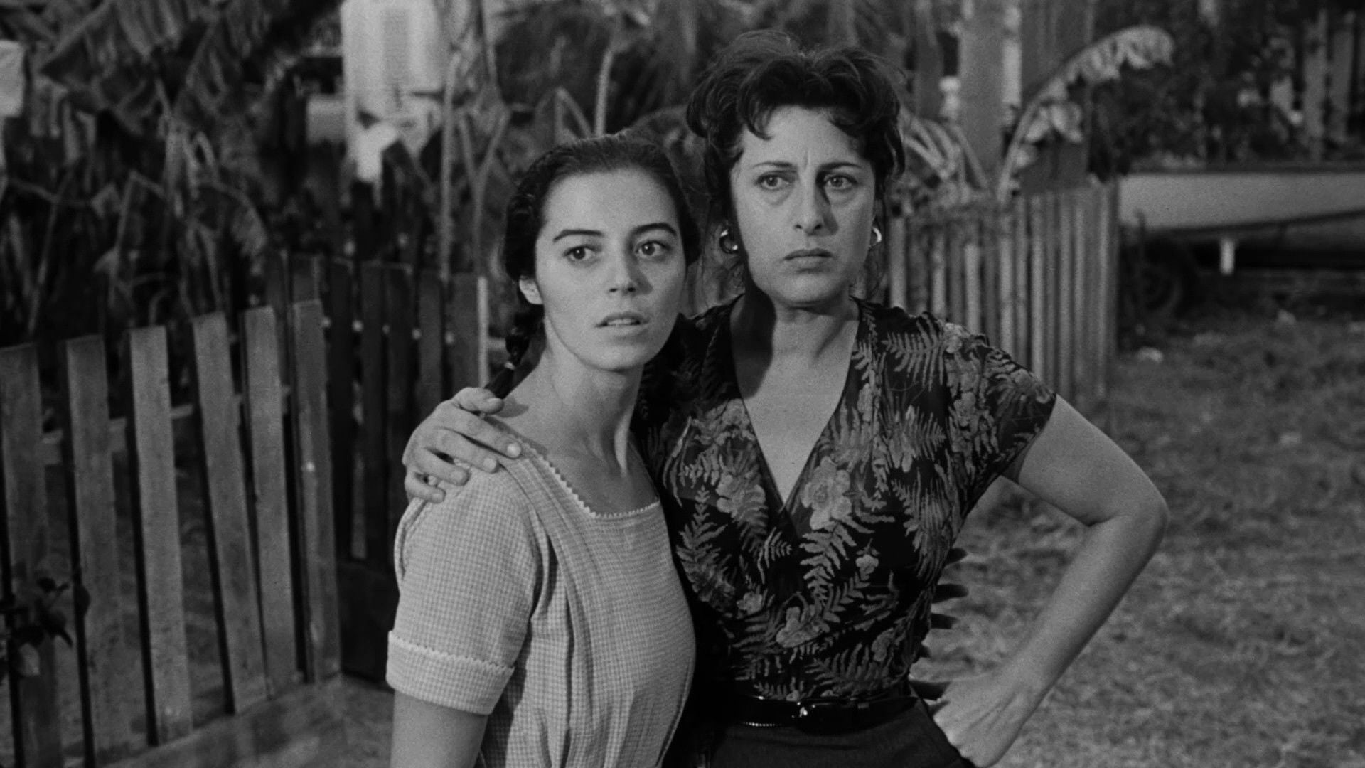 Foto do filme A Rosa Tatuada