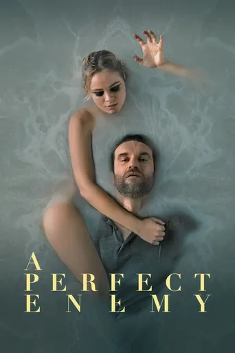 Inimiga Perfeita