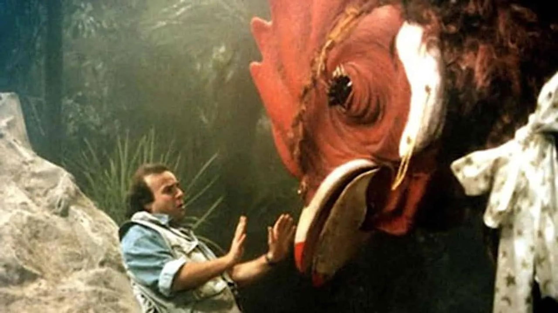 Foto do filme Chicken Park