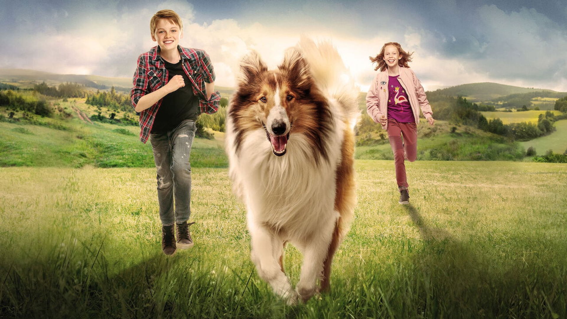 Foto do filme Lassie de Volta a Casa
