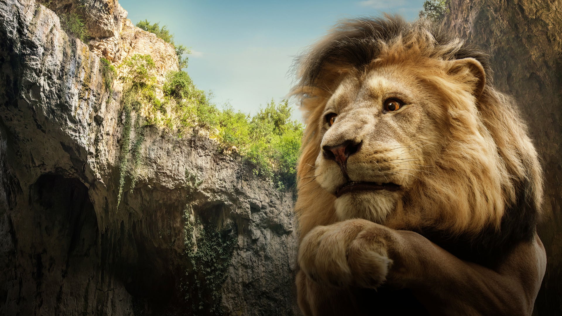 Foto do filme O Maravilhoso Mágico de Oz - Parte 1