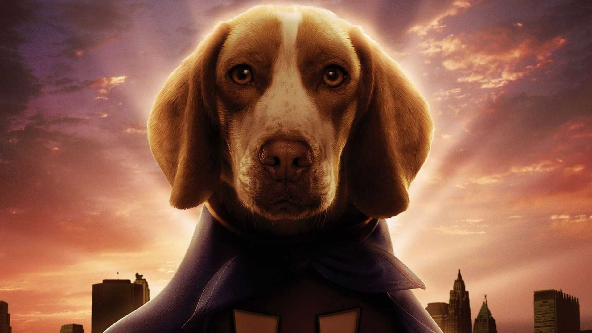 Foto do filme Vira-Lata