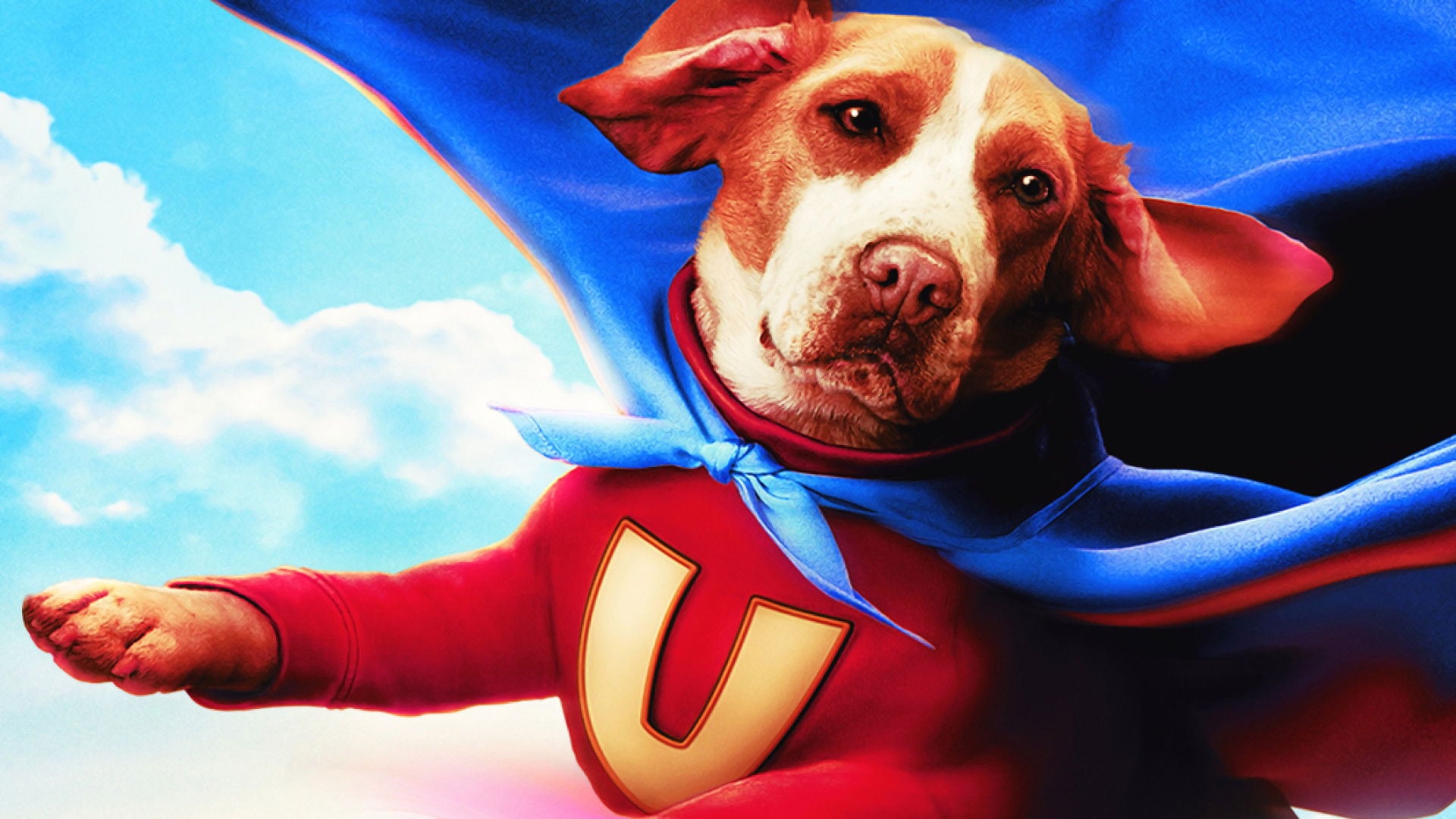 Foto do filme Vira-Lata