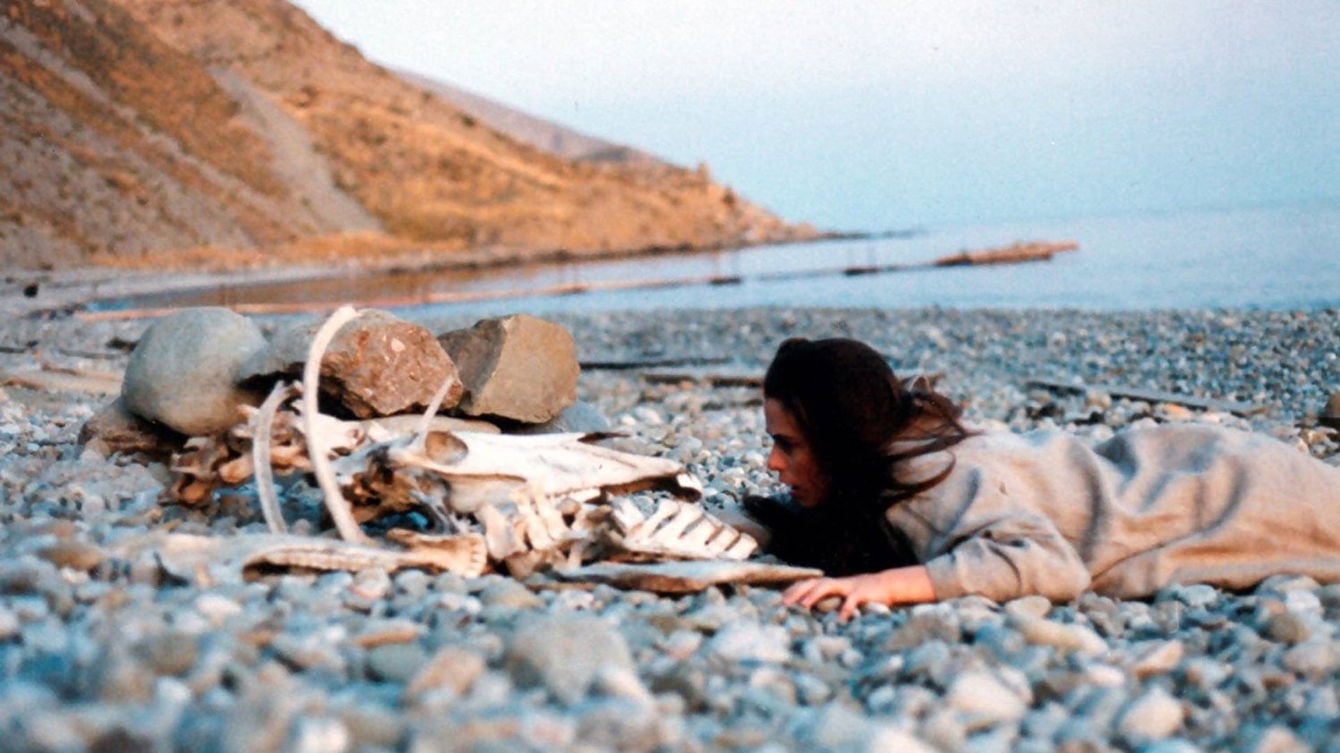 Foto do filme Dark Waters