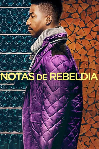 Notas de Rebeldia
